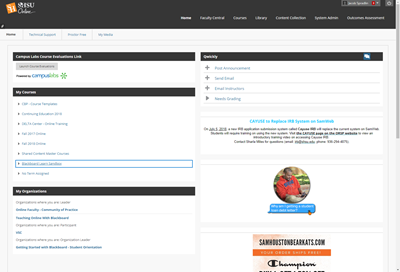 Screenshot of Blackboard 9.1 Q4 2018