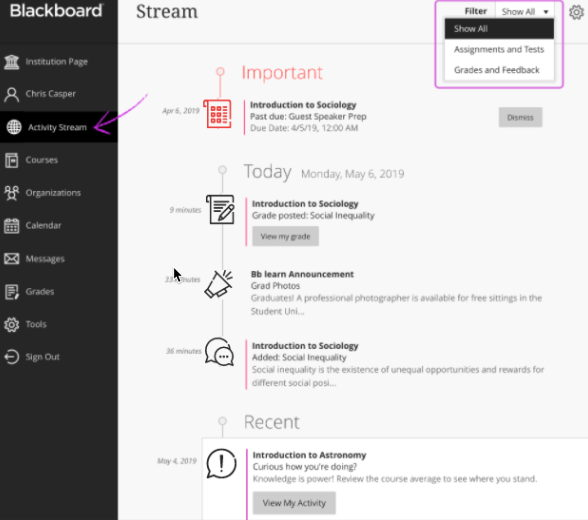 Activity Stream