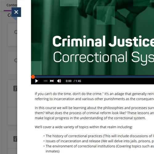 A screen capture of accessibly designed online course content